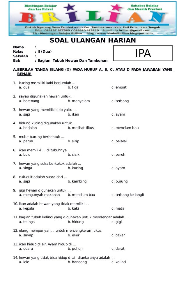 3 Fakta Penting dari Soal IPA Kelas 5 Semester 2 Kurikulum 2013 Materi Cahaya yang Wajib Tahu